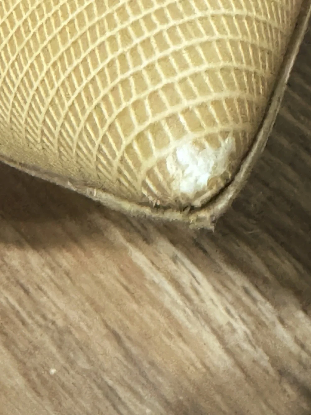 M.M.LaFleur Ginger Pumps - Embossed Lizard in Wheat EU 39.5/US 8.5/9 - Picture 8 of 12